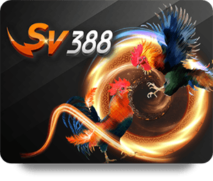RR88 Slot Baccarat: A Complete Guide for Beginners